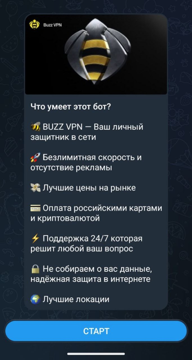 Start button in the BuzzVPN Telegram bot